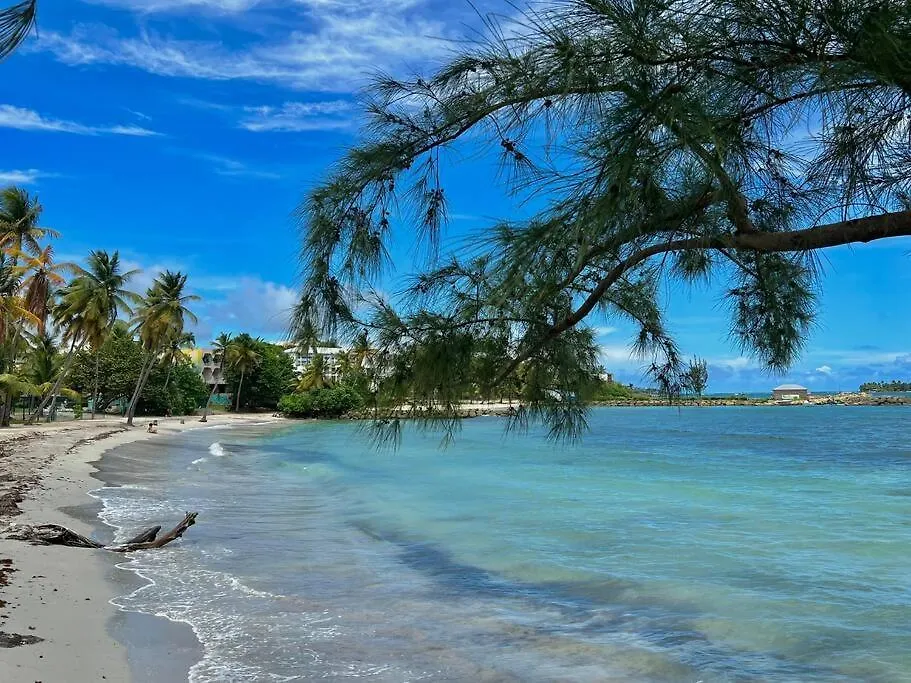 Charme Et Confort Avec Vue Sur Mer Le Gosier  Apartment Le Gosier (Grande-Terre)