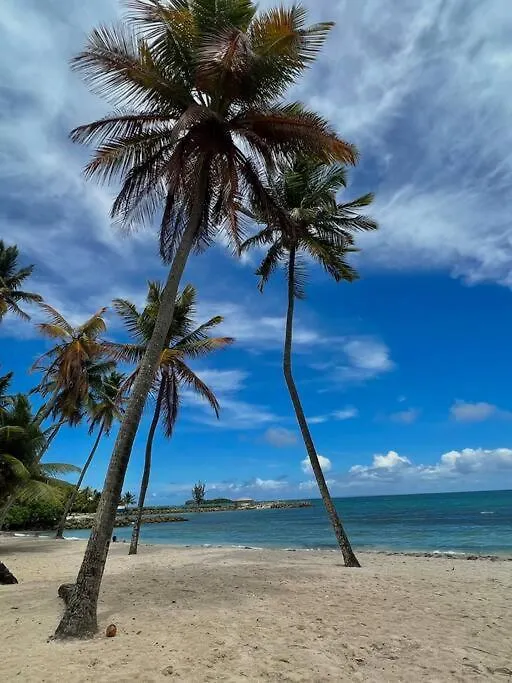 Apartment Charme Et Confort Avec Vue Sur Mer Le Gosier  Guadeloupe